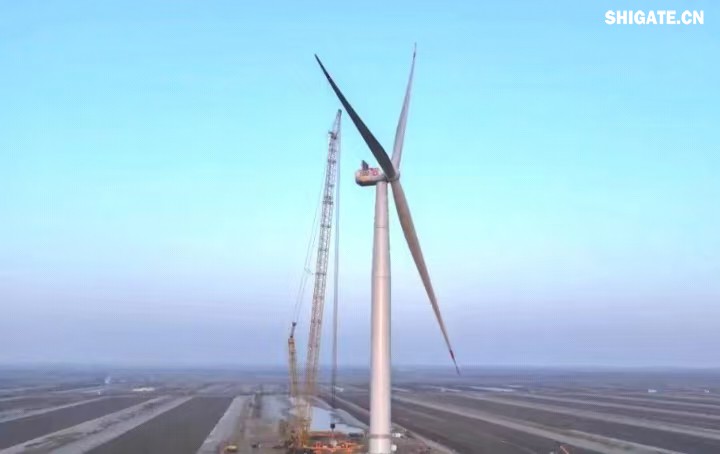 1月11日，全球最大功率等級的漂浮式風電機組——中國中車“啟航號”在山東東營風電裝備測試認證創(chuàng)新基地吊裝成功，標志著我國在海上超大型風機的探索邁出重要一步。該項目風電機組的配套塔筒是全球直徑最大、重量最重的塔筒型號，所用鋼板由河鋼集團舞鋼公司獨家提供。  微信圖片_20250220083217.jpg  舞鋼公司深入貫徹集團要求，以客戶需求為導向，大力開展技術營銷，不斷優(yōu)化營銷方案，通過提供“一攬子”解決方案，滿足高端客戶對高品質(zhì)產(chǎn)品和未來發(fā)展的需求，加速由生產(chǎn)型向“制造+服務”型企業(yè)轉變。該項目對產(chǎn)品抗沖擊性能及表面質(zhì)量有著極為嚴苛的要求，且交貨期較短，生產(chǎn)難度相當大。為確保合同順利交付，舞鋼公司產(chǎn)線各單位協(xié)同聯(lián)動，強化工藝和生產(chǎn)過程控制，攻克了高強度與高延伸率匹配、低溫沖擊韌性匹配等一系列技術難題，確保了產(chǎn)品各項指標全部滿足客戶要求，并按期交付客戶。  微信圖片_20250220083224.jpg  “啟航號”20MW漂浮式海上風電塔筒是專門為20MW及以上海上漂浮式風機提供系統(tǒng)解決方案而設計的，是全球最大功率漂浮式風電機組的配套塔筒，總高度為141.15米，最大直徑12米，重量達到了1576噸。